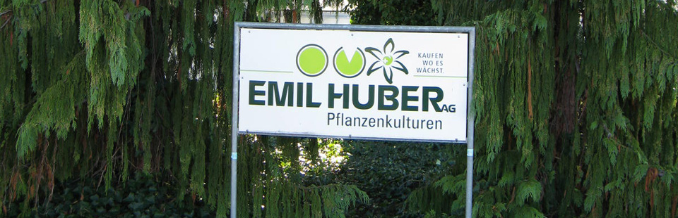 Emil Huber AG - Pflanzenkulturen
